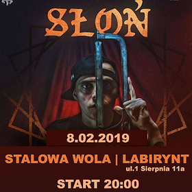 Słoń - Stalowa Wola