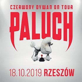 Paluch - Rzeszów