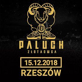 Paluch - Rzeszów